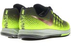 Nike Air Zoom Pegasus 33 Shield