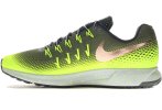 Nike Air Zoom Pegasus 33 Shield