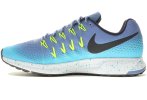 Nike Air Zoom Pegasus 33 Shield
