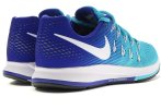 Nike Air Zoom Pegasus 33