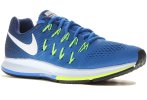 Nike Air Zoom Pegasus 33