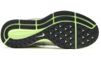 Nike Air Zoom Pegasus 33