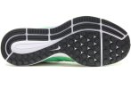 Nike Air Zoom Pegasus 33