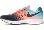 Nike Air Zoom Pegasus 33
