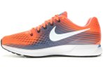 Nike Air Zoom Pegasus 34