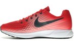Nike Air Zoom Pegasus 34