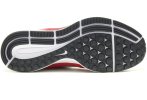 Nike Air Zoom Pegasus 34 TB