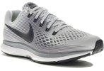 Nike Air Zoom Pegasus 34
