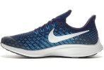 Nike Air Zoom Pegasus 35 GS
