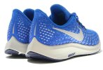 Nike Air Zoom Pegasus 35 GS