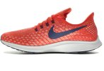 Nike Air Zoom Pegasus 35