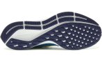 Nike Air Zoom Pegasus 35