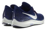 Nike Air Zoom Pegasus 35