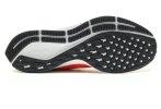 Nike Air Zoom Pegasus 36