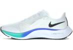 Nike Air Zoom Pegasus 37 FlyEase