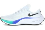 Nike Air Zoom Pegasus 37