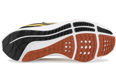 pegasus femme nike