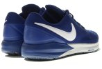 Nike Air Zoom Structure 22 Wide