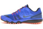 Nike Dual Fusion Trail 2