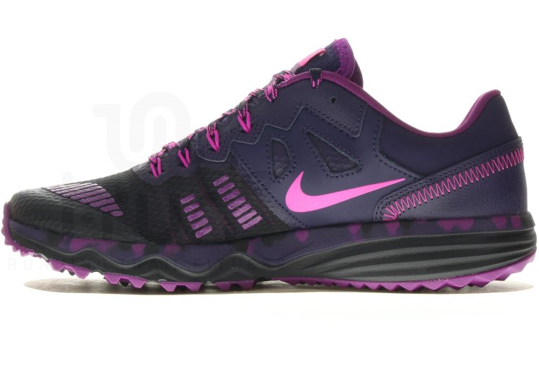 Nike Dual Fusion Trail 2
