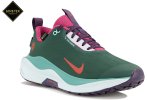 Nike Infinity RN 4 Gore-Tex W