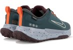 Nike Juniper Trail 2 Gore-Tex Herren