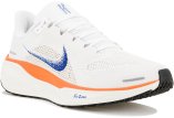 Nike Pegasus 41