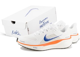 Nike Pegasus 41 Damen