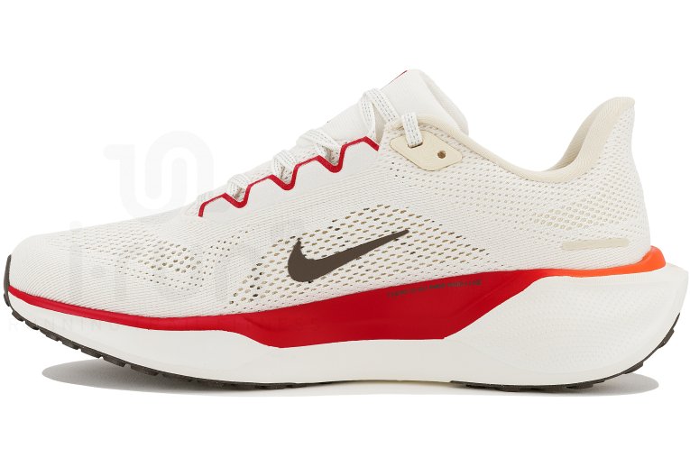 Nike Pegasus 41 Damen