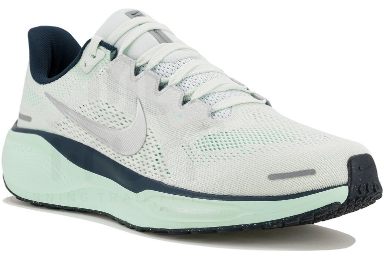 Nike Pegasus 41 Damen