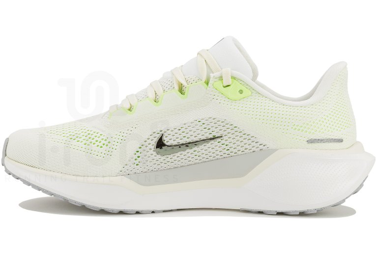 Nike Pegasus 41 Damen