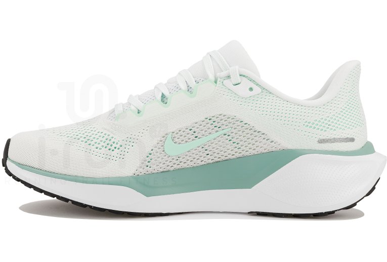 Nike Pegasus 41 Damen