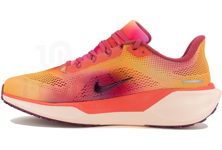 Nike Pegasus 41 Damen SE