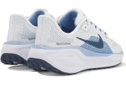 Nike Pegasus 41