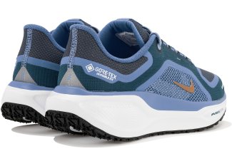 Nike Pegasus 41 Gore-Tex