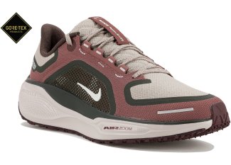 Nike Pegasus 41 Gore-Tex