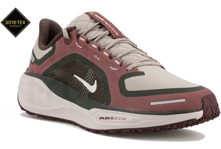 Nike Pegasus 41 Gore-Tex