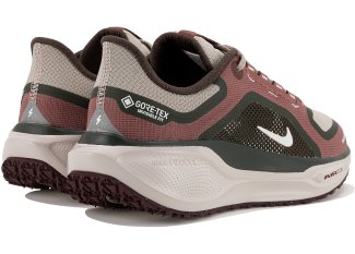 Nike Pegasus 41 Gore-Tex