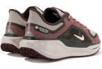 Nike Pegasus 41 Gore-Tex