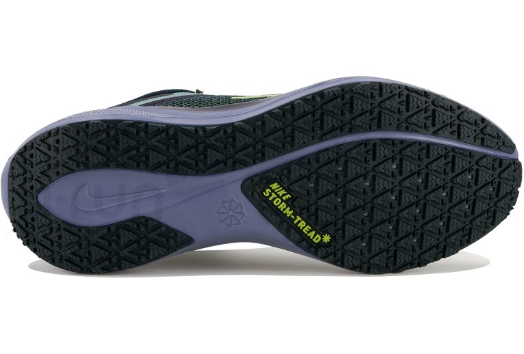 Nike Pegasus 41 Gore-Tex