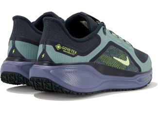 Nike Pegasus 41 Gore-Tex
