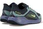 Nike Pegasus 41 Gore-Tex