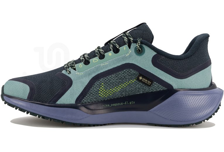 Nike Pegasus 41 Gore-Tex