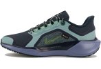 Nike Pegasus 41 Gore-Tex