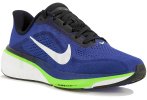 Nike Pegasus 42