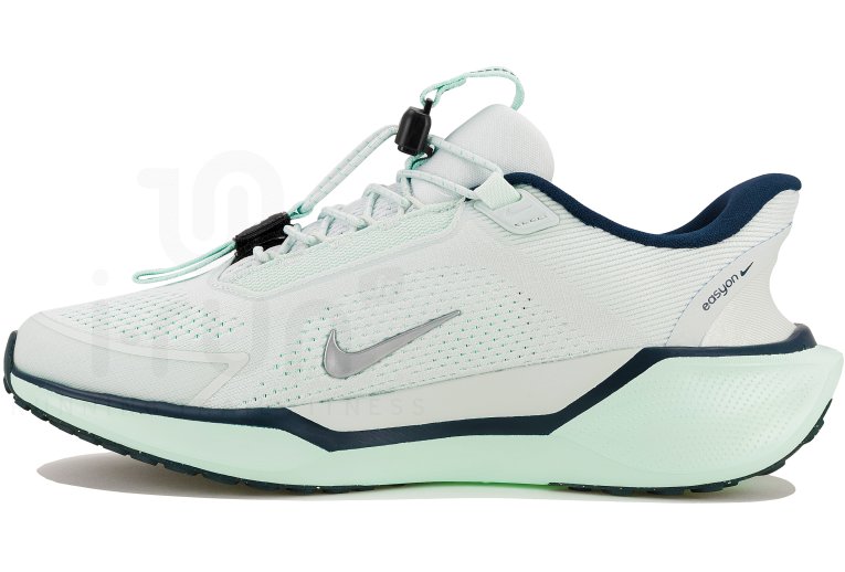 Nike Pegasus EasyOn Damen