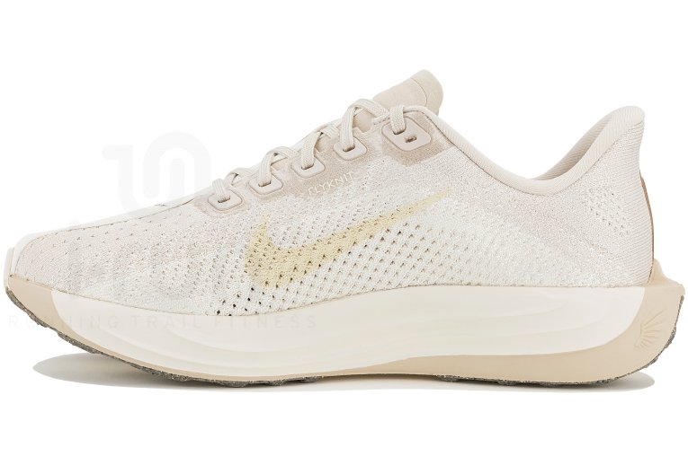 Nike Pegasus Plus Damen