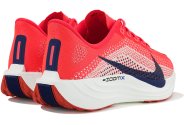 Nike Pegasus Plus