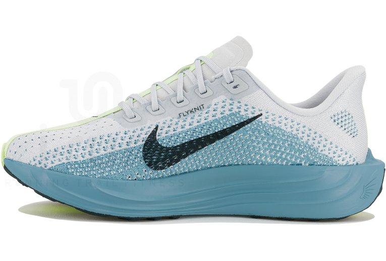 Nike Pegasus Plus Herren