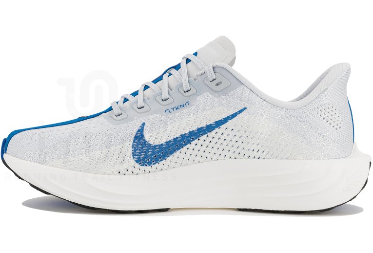 Nike Pegasus Plus M